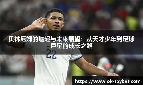 雷竞技官网平台